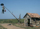 Chat noir, chat blanc (Crna mačka, beli mačor, Emir Kusturica, 1998)