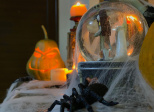 Nuit d'Halloween