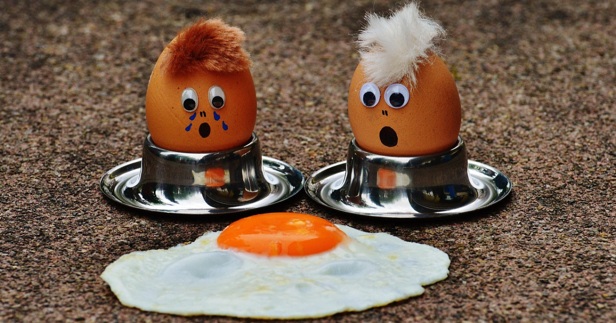 Oeuf