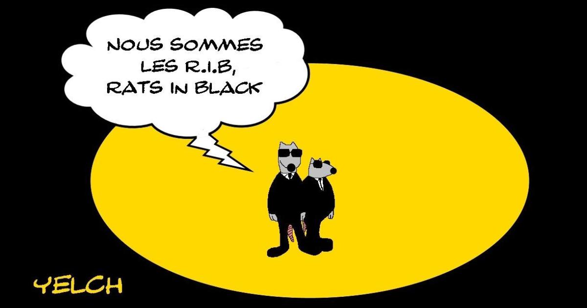 Rats In Black