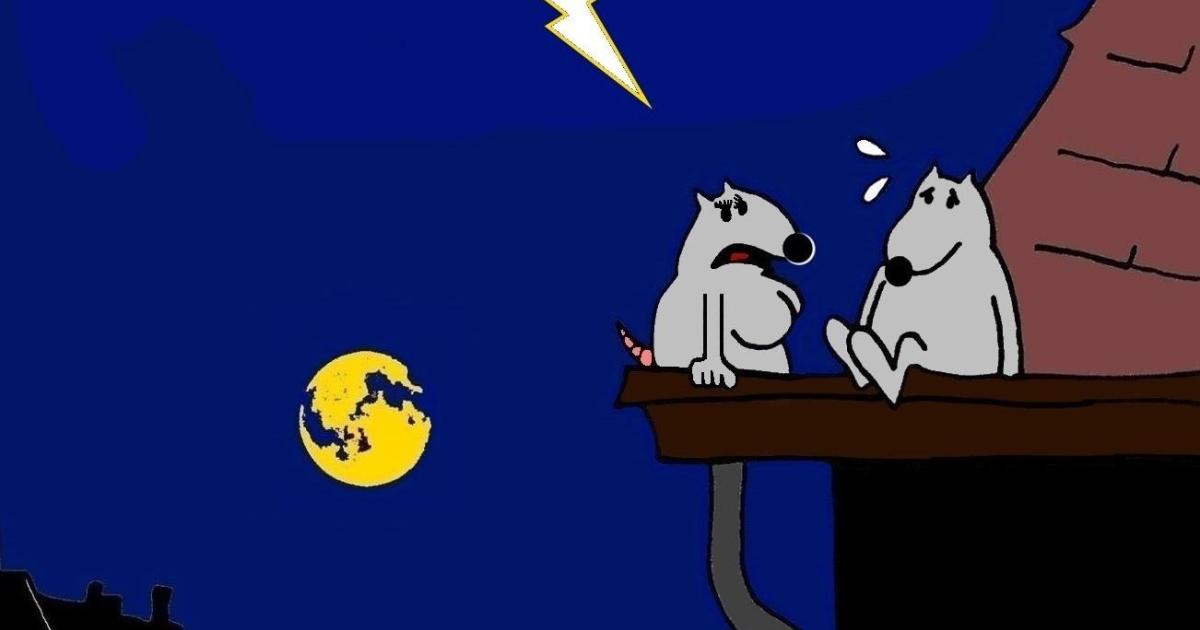 Rat peu romantique