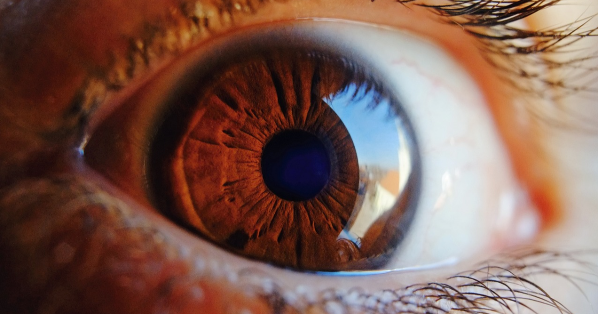 Iris