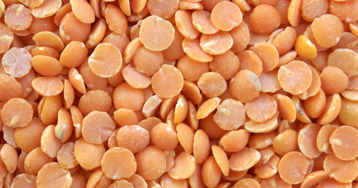 Lentilles
