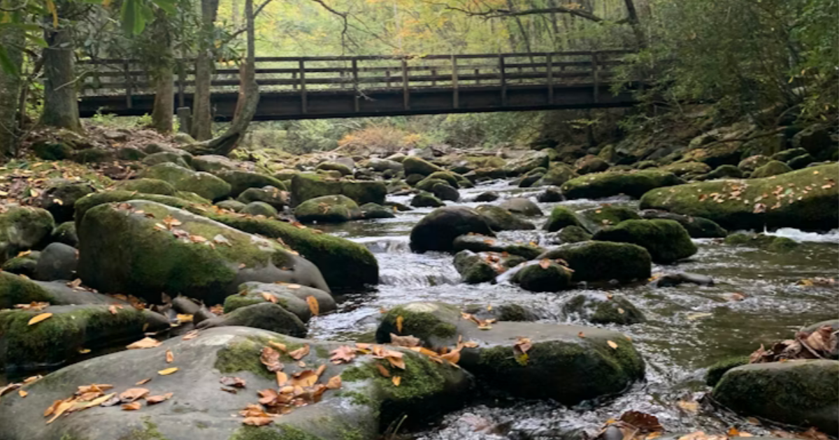 Ruisseau