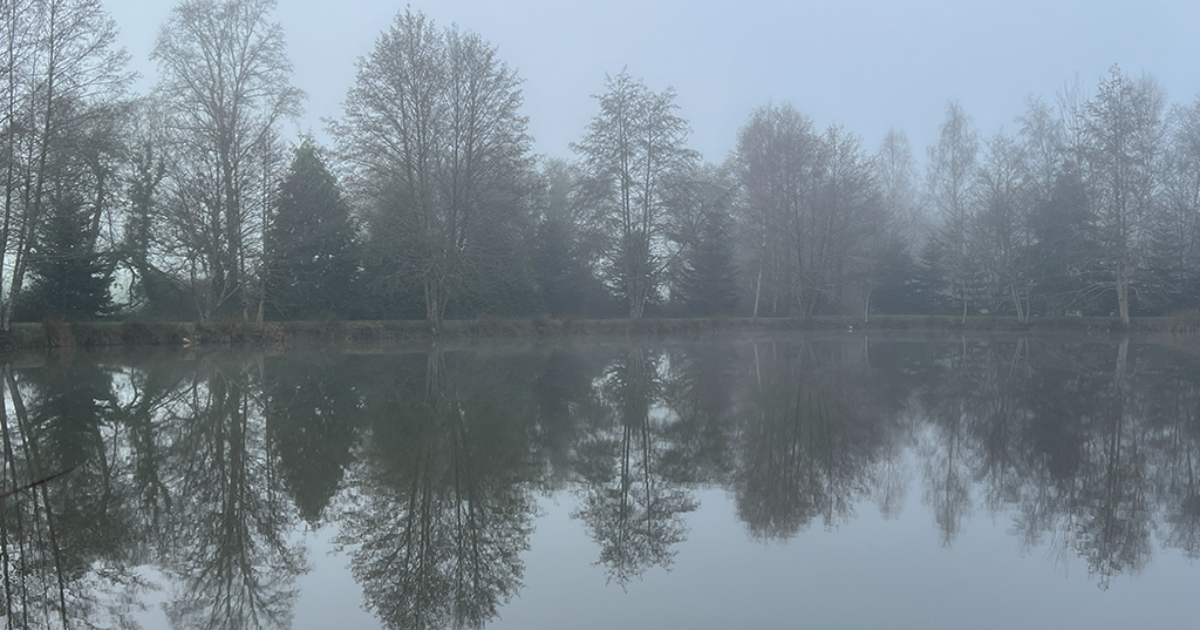 Hazy Days