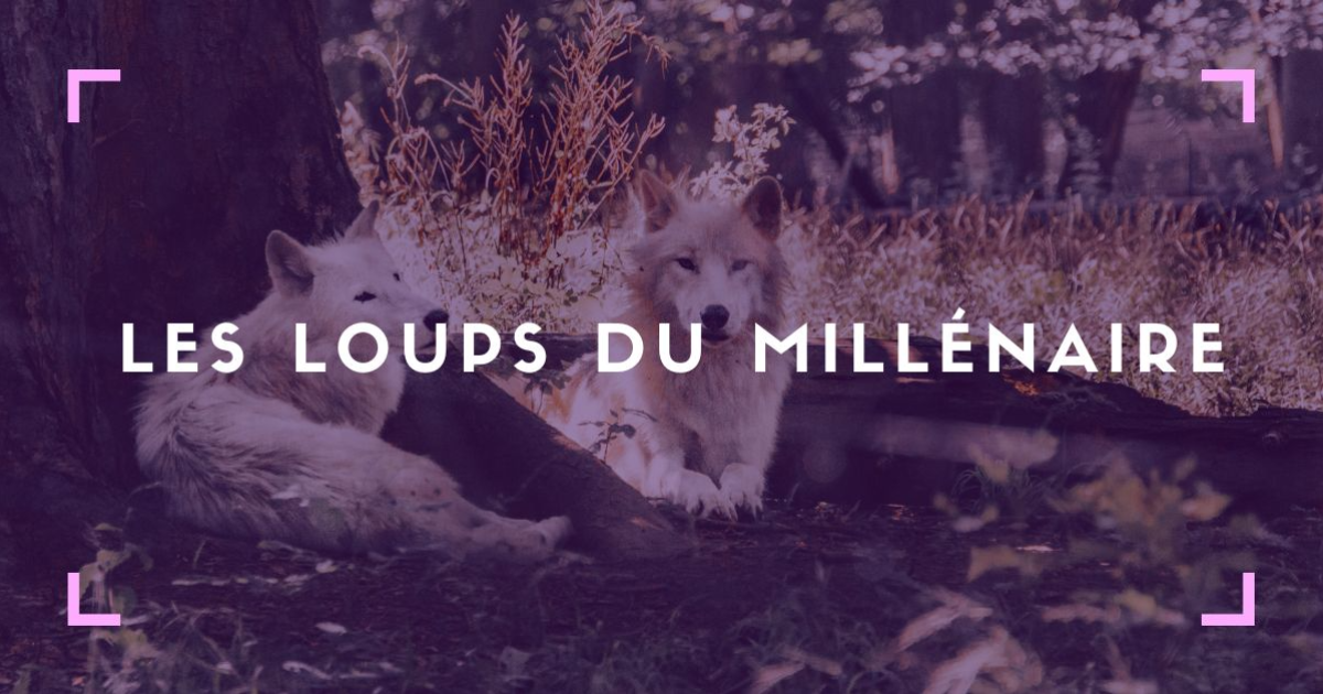 Panodyssey - J'ai lu "Les loups du Millénaire" Tome 2 de Sapir A