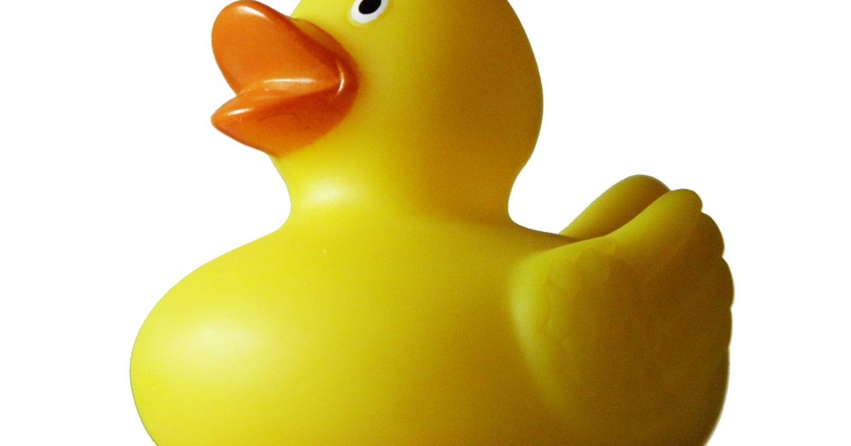 Tout sur le canard, ou presque 