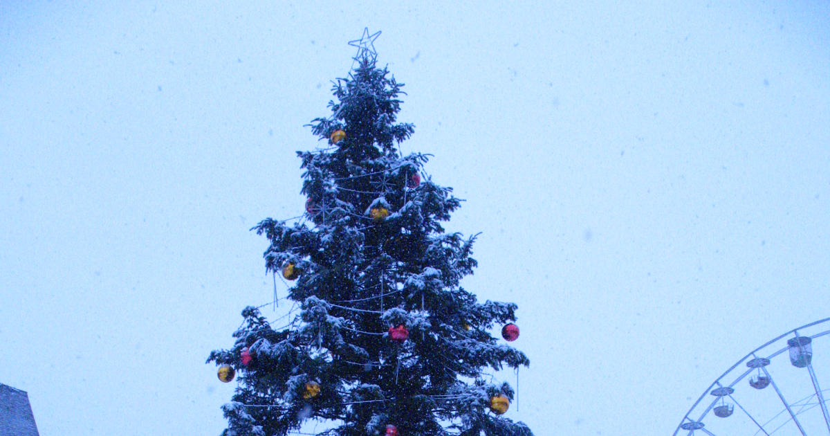 Le sapin