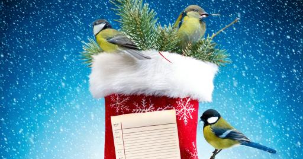 4 - Avant Noël