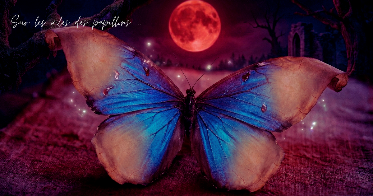 Fragment 1...