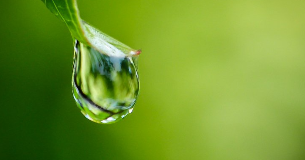 H2O