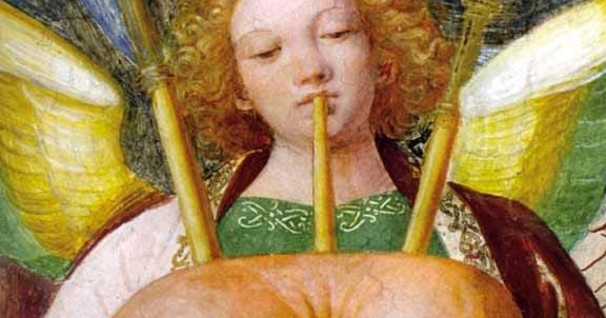 Saints Cygnes