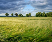 Feuillet de mars : aux quatre vents