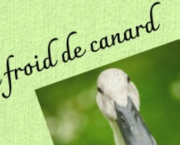Exercice d'écriture - Un froid de canard