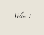 Voleur !