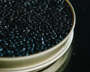 Caviar