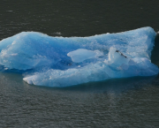 Iceberg