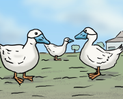 Alerte grippe aviaire !