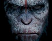 La Planète des Singes : l'Affrontement