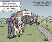 Une solution pour les déserts médicaux !