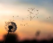 Enfermés mais libres