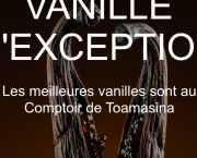 Quelle est la Meilleure Vanille du Monde ?" — Le Guide Ultime des "Grands Crus"