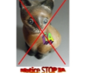 Application et promotion de la NOTICE STOP IA
