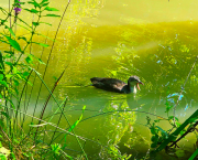 Instant de printemps