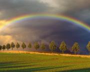 L'arc-en-ciel de la Vie