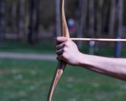 Elasticité