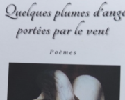 "Quelques plumes d'ange portées par le vent"