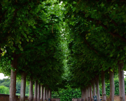 Épisode 21 - Une révélation douloureuse