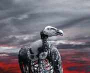 Westworld - Saison 2