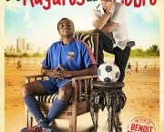 Les Rayures du Zèbre