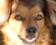 Le message de Sacha : Sécurité et confiance