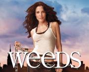 Weeds - Saison 7