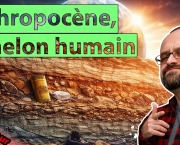 Anthropocène, le melon humain