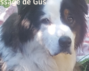 Message de Gus : Dépassement de soi et détachement