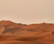 Aphorismes du vivre-enfin (I, jan.-fév.)