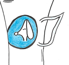 prev