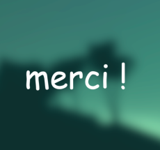 prev