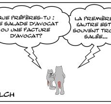 prev