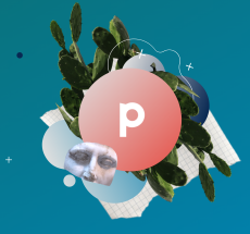 prev