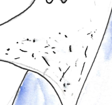 prev