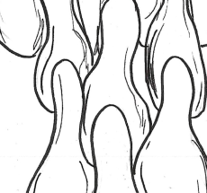 prev