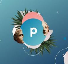 prev