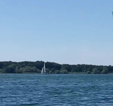 prev