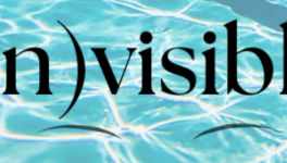 (in)visible