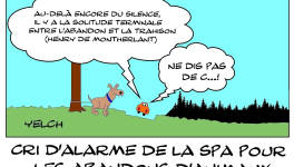 Abandons d'animaux