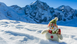 L'enigmatique surfeur des neiges